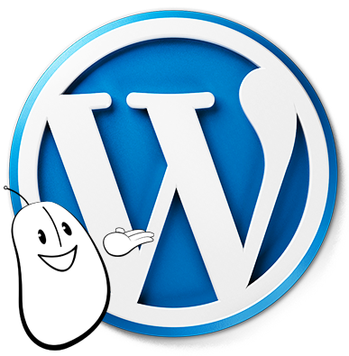 Web Effect wordpress site internet